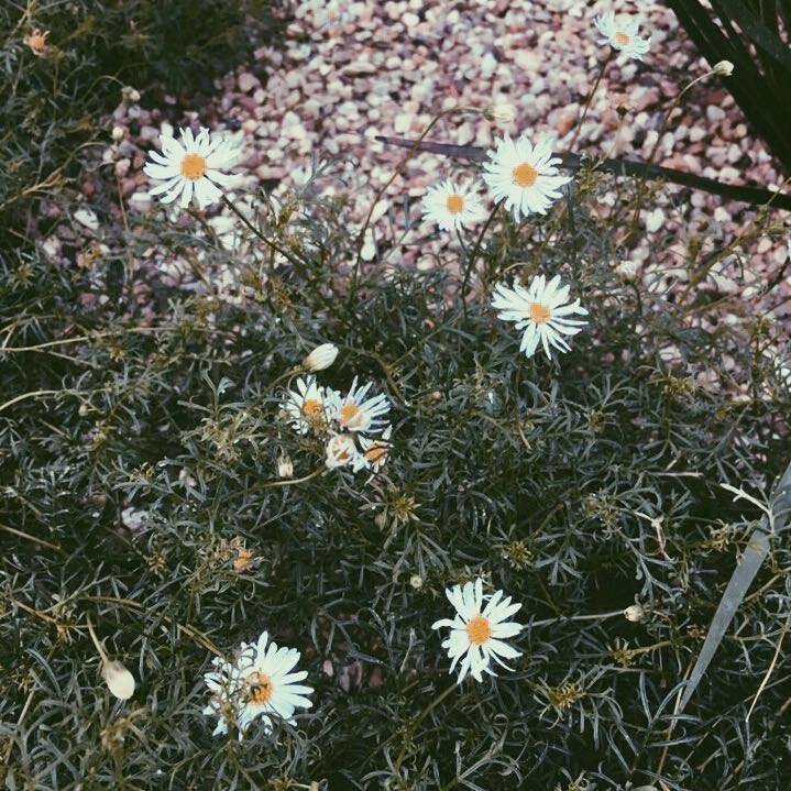 (Category: ) located in . Submitted by tlyx__ (Listing ID 1365541222, Image 1). Description: .