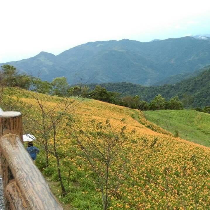由 xieian (刊登 ID 1385061287，圖片 1) 提交，位於 的 (類別：)，說明：。