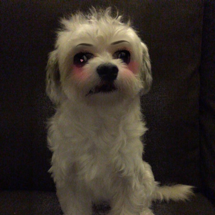 (Category: ) located in . Submitted by ltcsogood (Listing ID 1315787651, Image 1). Description: .