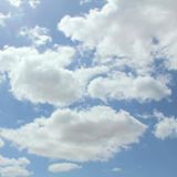 （分類：）位於 。 由 lskcyrus 提交（商品編號 1324254728，圖片 1）。簡介： 。