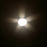 (Category: ) located in . Submitted by cmonli (Listing ID 1449881138, Image 1). Description: .