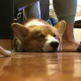 (分類:)位於 。 由 andrewhk 提交(商品編號 1390591234,圖片 1)。簡介: 。
