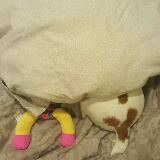 (Category: ) located in . Submitted by merry.jane (Listing ID 1378598526, Image 1). Description: .