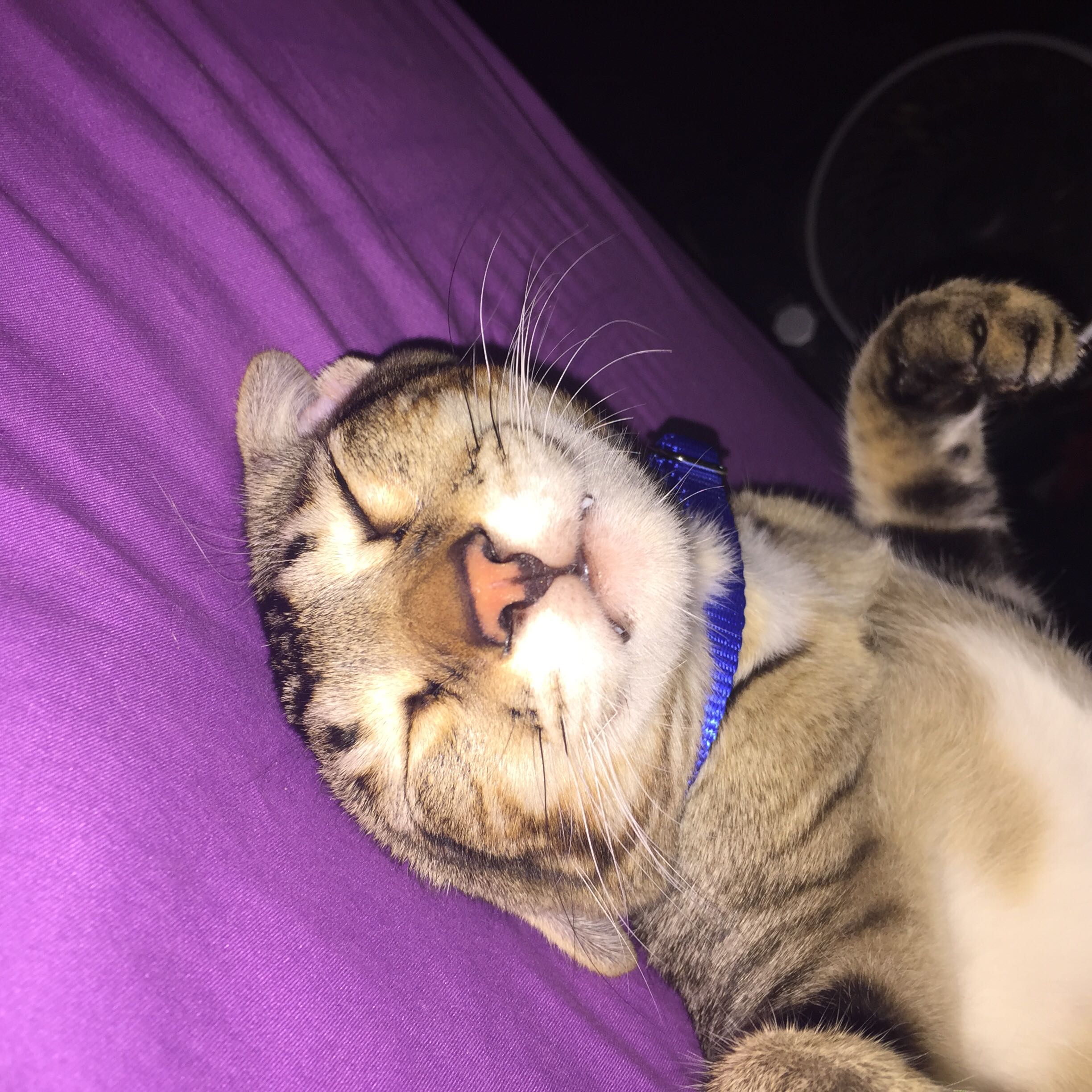 (Category: ) located in . Submitted by chicks (Listing ID 1190426672, Image 1). Description: .