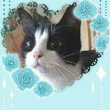 （分類：）位於 。 由 lumanleung 提交（商品編號 1213555664，圖片 1）。簡介： 。