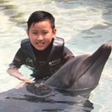 （分類：）位於 。 由 fattymoma 提交（商品編號 1338017145，圖片 1）。簡介： 。