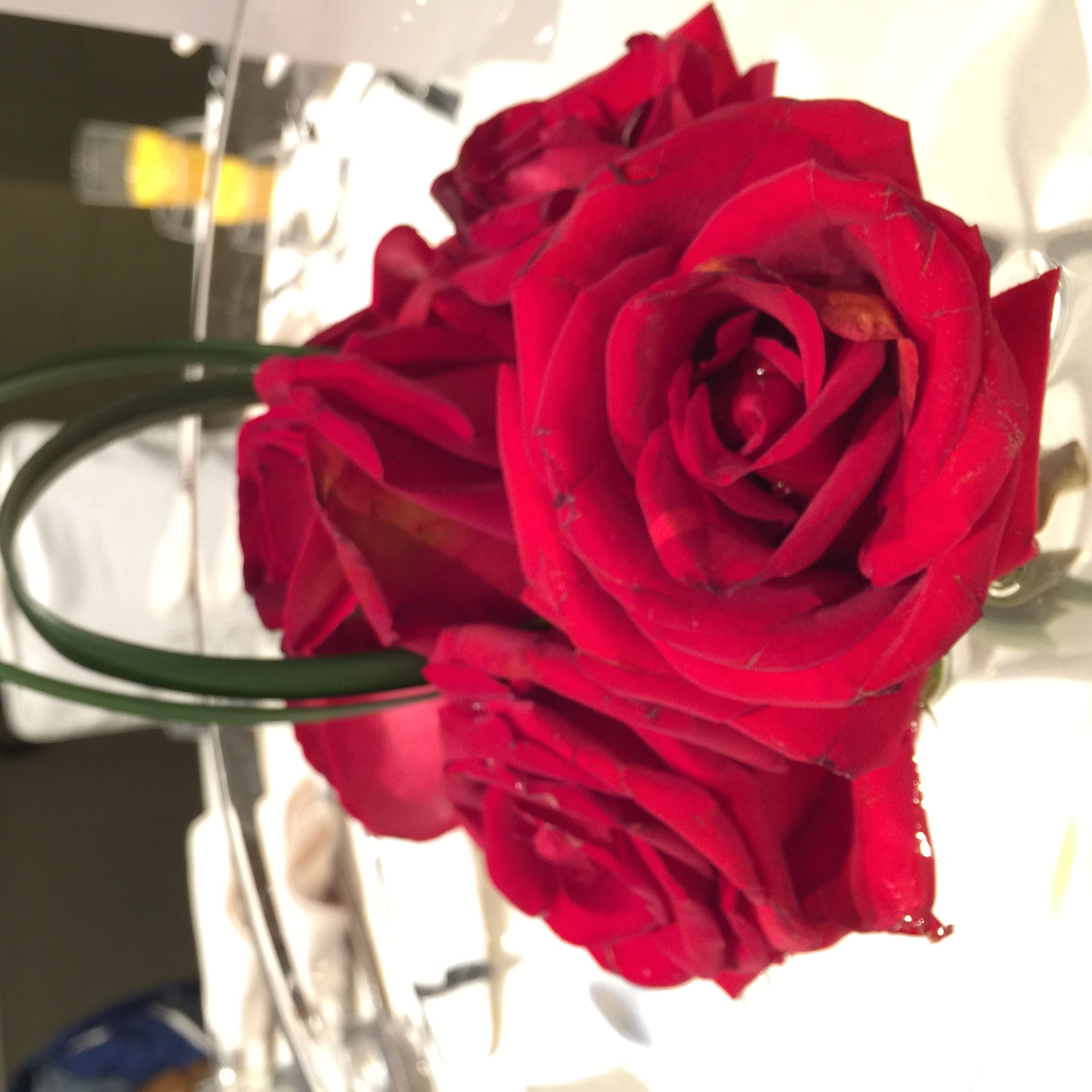 （分類：）位於 。 由 rl123 提交（商品編號 1007716083，圖片 1）。簡介： 。