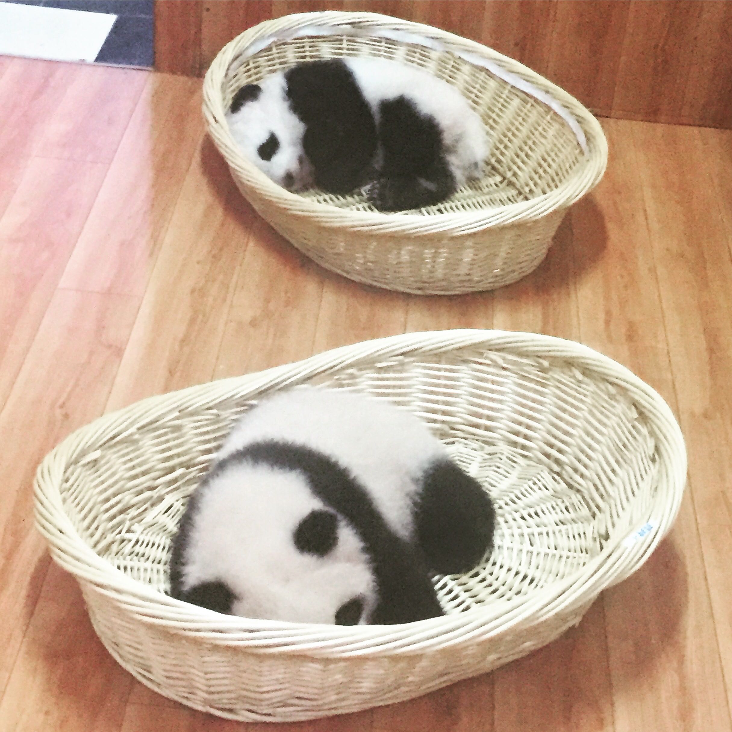 (分類:)位於 。 由 fashionpanda 提交(商品編號 1413503680,圖片 1)。簡介: 。