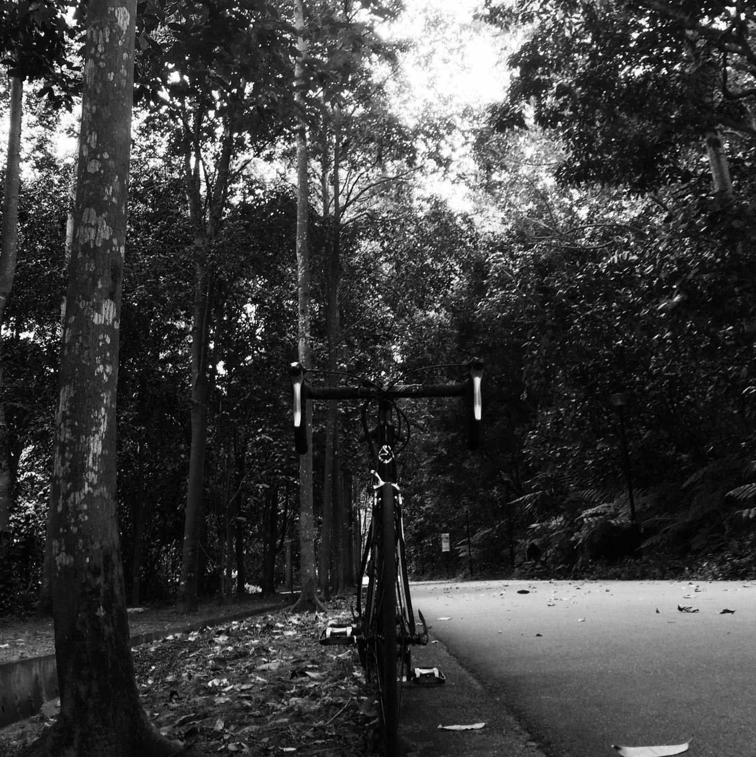 (Category: ) located in . Submitted by splky (Listing ID 1379863929, Image 1). Description: .