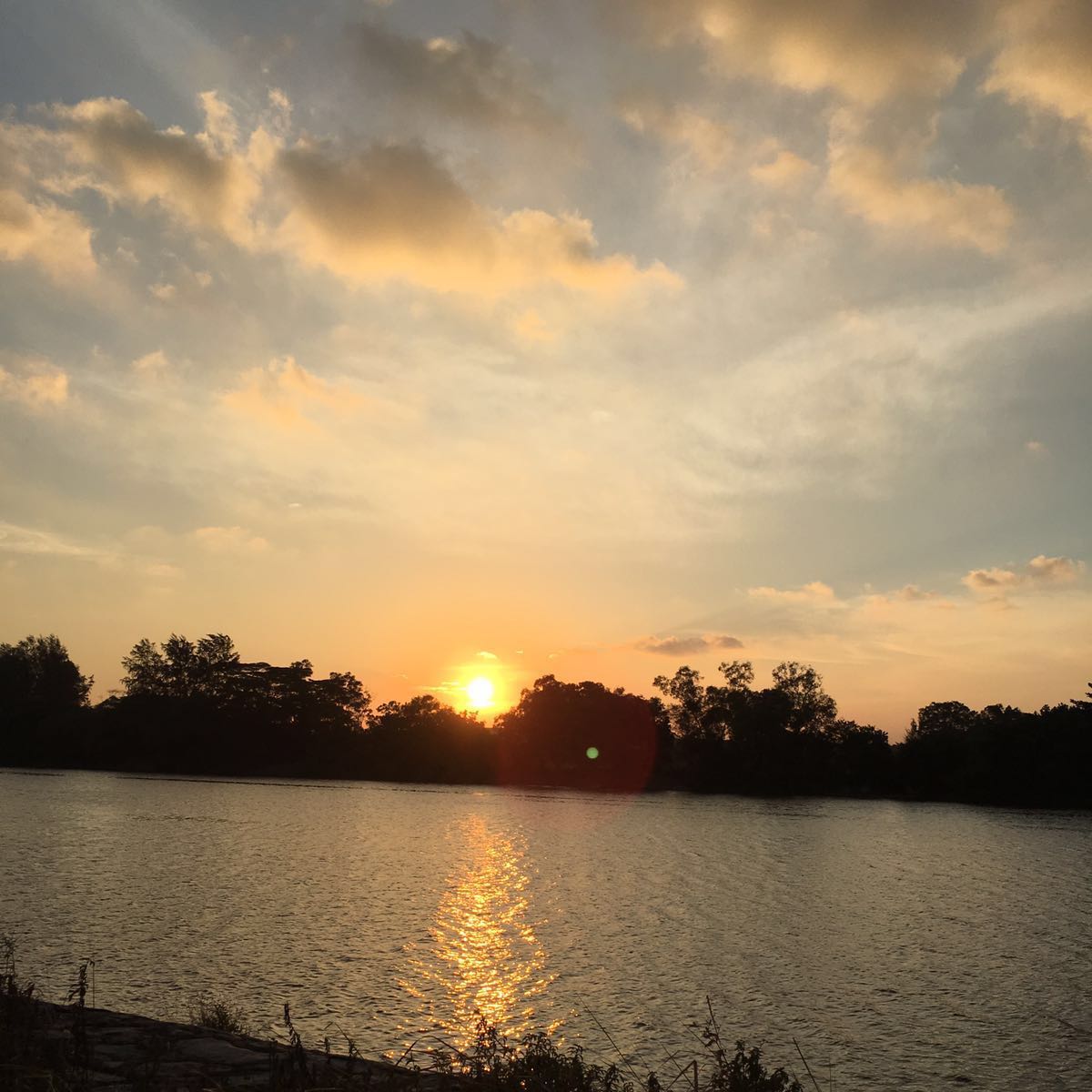 (Category: ) located in . Submitted by amkonlinestore (Listing ID 1363489122, Image 1). Description: .