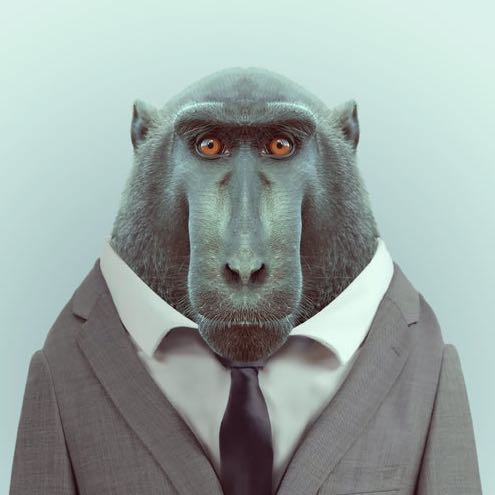 （分類：）位於 。 由 heyymonkeyy 提交（商品編號 1349027884，圖片 1）。簡介： 。