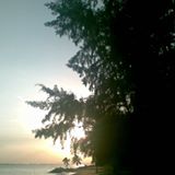 (Category: ) located in . Submitted by hotwt (Listing ID 1367746633, Image 1). Description: .