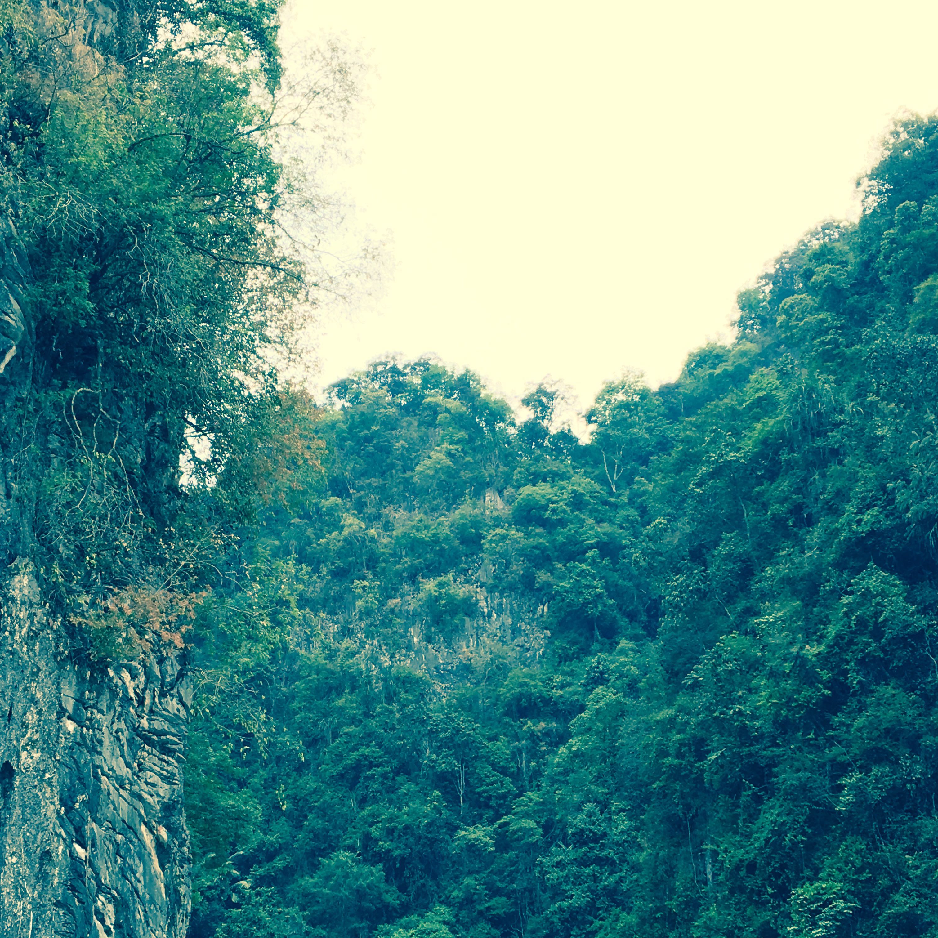 (Category: ) located in . Submitted by amosz (Listing ID 1340307647, Image 1). Description: .