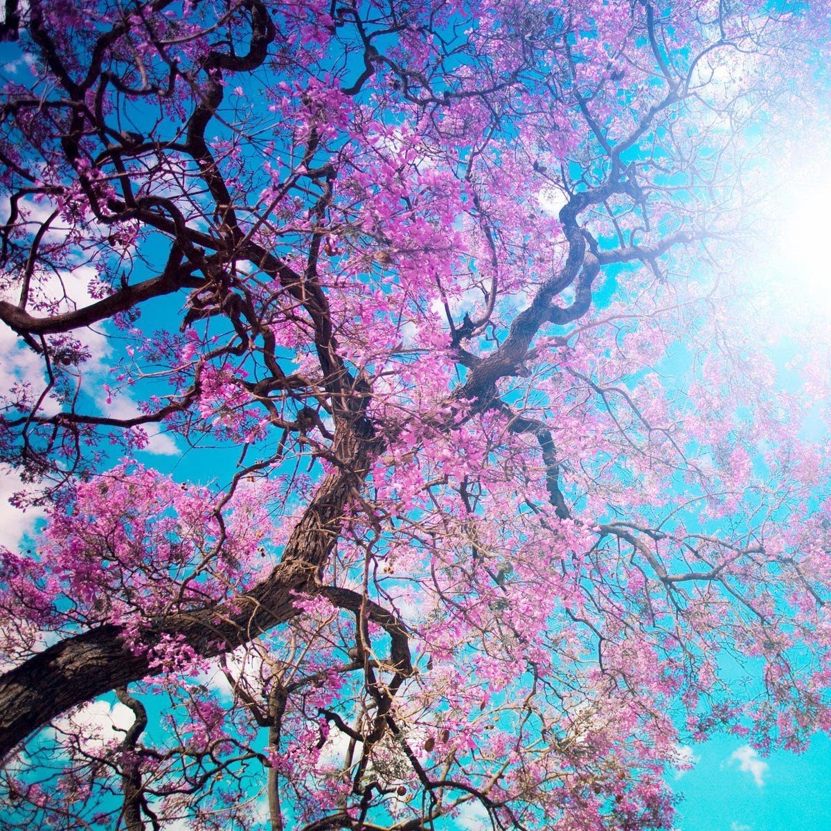(Category: ) located in . Submitted by Love.sg (Listing ID 1348111277, Image 1). Description: .