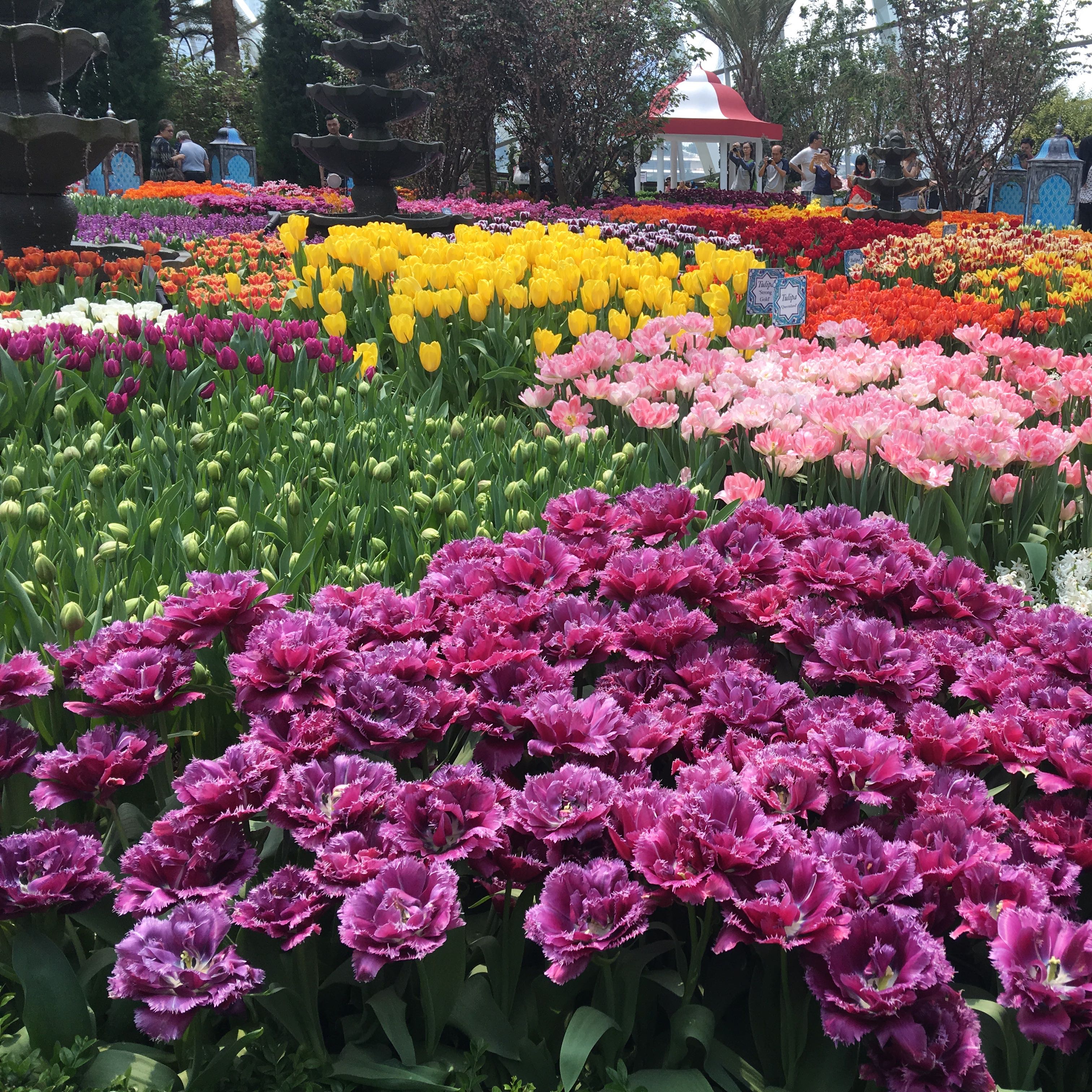(Category: ) located in . Submitted by lalaland-land (Listing ID 1439998542, Image 1). Description: .