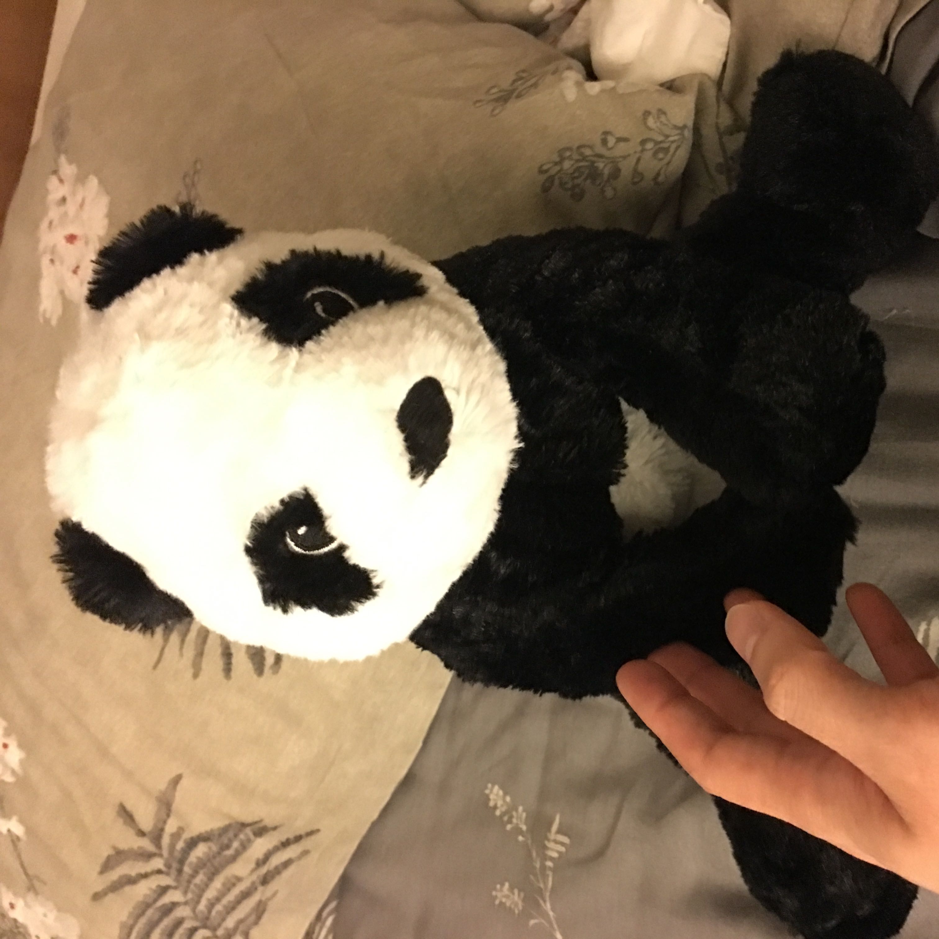 (Category: ) located in . Submitted by jr.lai (Listing ID 1445702929, Image 1). Description: .