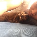 (分類:)位於 。 由 nickwong629 提交(商品編號 1459240899,圖片 1)。簡介: 。