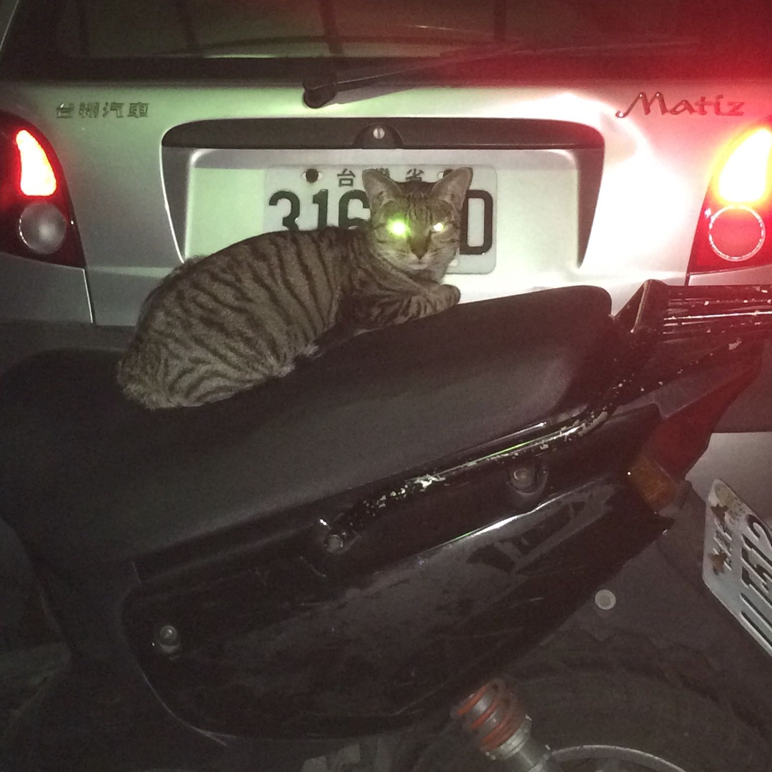 頭像