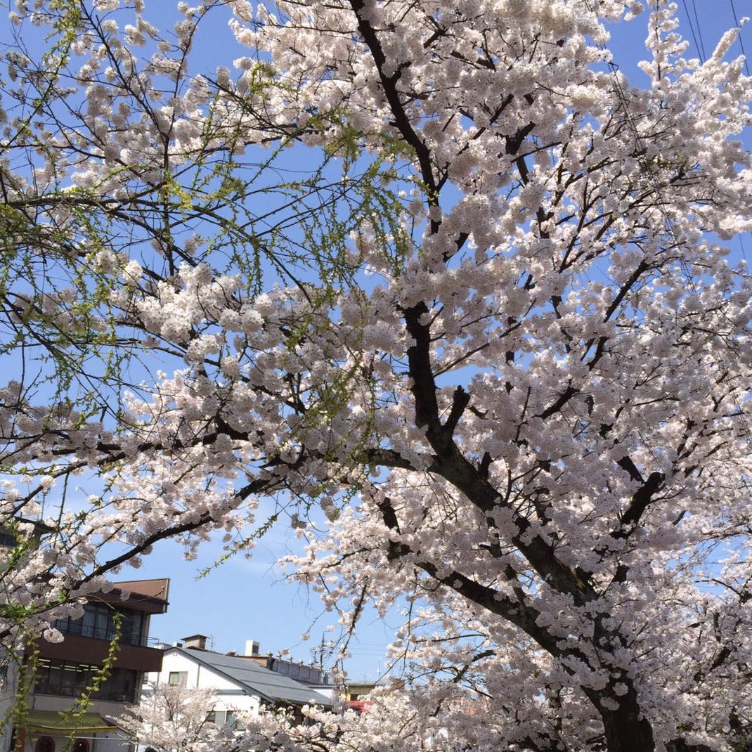 （分類：）位於 。 由 tokyolover_cch 提交（商品編號 1271455241，圖片 1）。簡介： 。