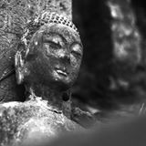 （分類：）位於 。 由 ThaiamuletCarr 提交（商品編號 1171971239，圖片 1）。簡介： 。
