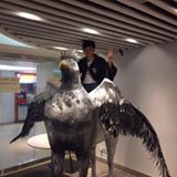 （分類：）位於 。 由 westchu 提交（商品編號 1289693537，圖片 1）。簡介： 。