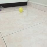 (Category: ) located in . Submitted by ansonts (Listing ID 1383862518, Image 1). Description: .