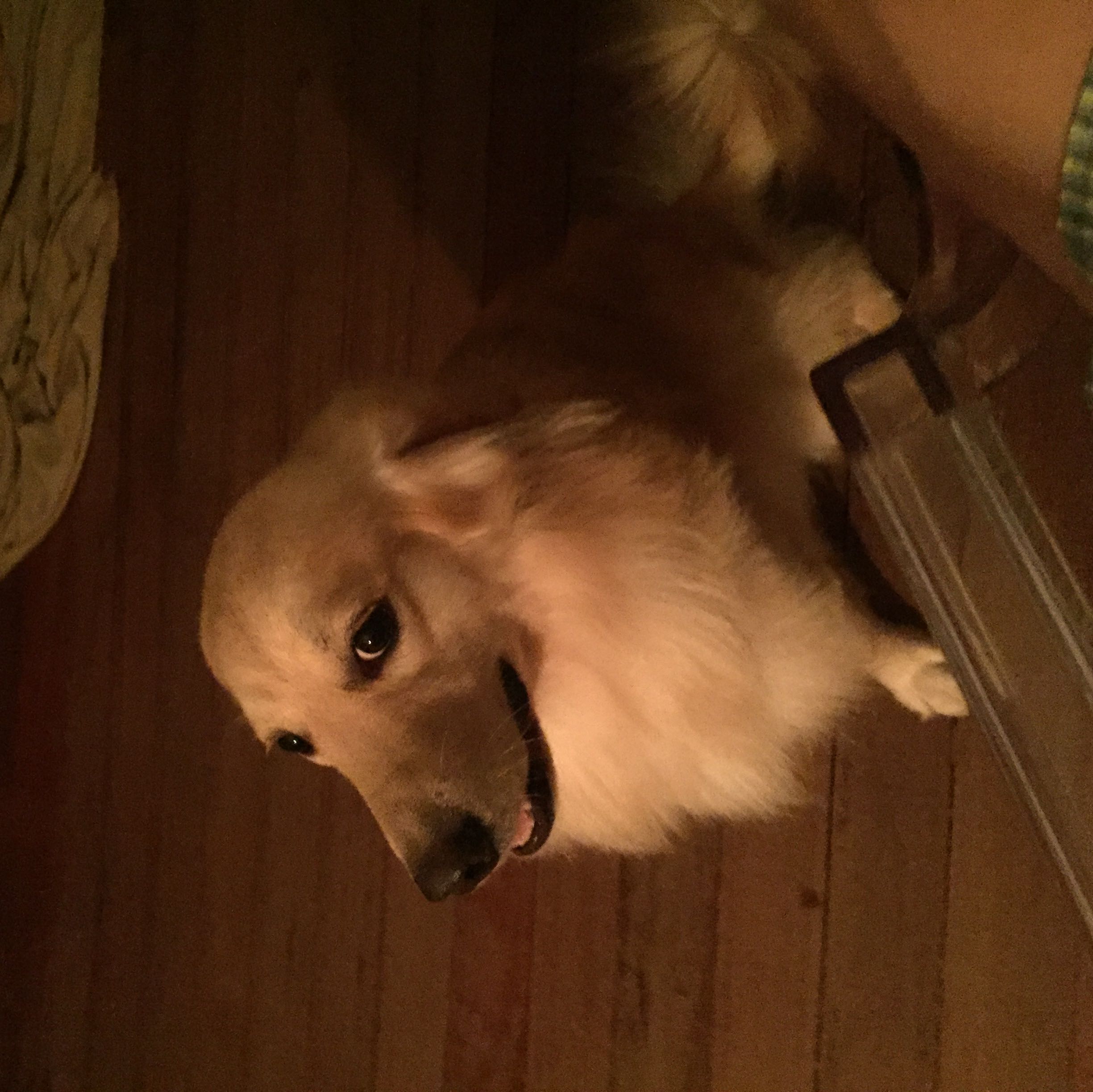(Category: ) located in . Submitted by yangstergram (Listing ID 1348351141, Image 1). Description: .