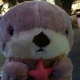 (Category: ) located in . Submitted by cheahen (Listing ID 1352757541, Image 1). Description: .