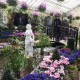 (Category: ) located in . Submitted by deli.cookie (Listing ID 1380213545, Image 1). Description: .