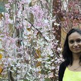(Category: ) located in . Submitted by reenasirnani (Listing ID 1374991578, Image 1). Description: .