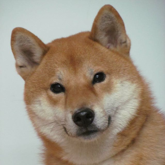 頭像