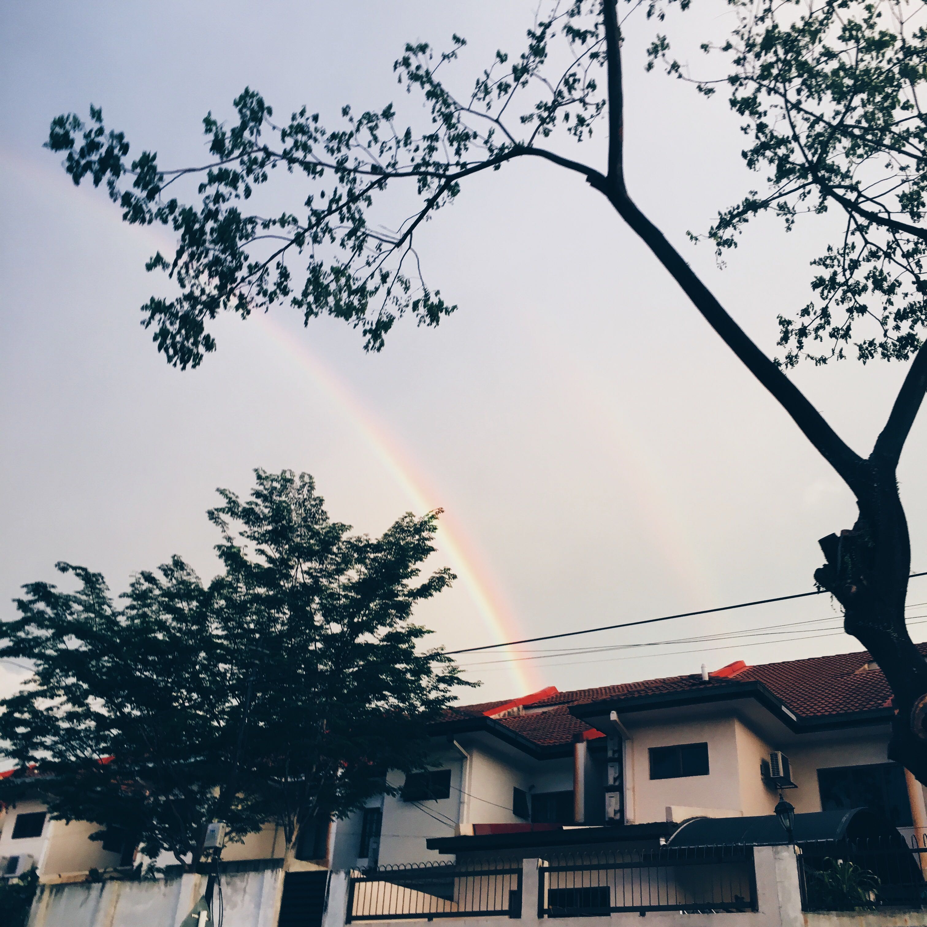 (Category: ) located in . Submitted by wallflowerr (Listing ID 1373611794, Image 1). Description: .
