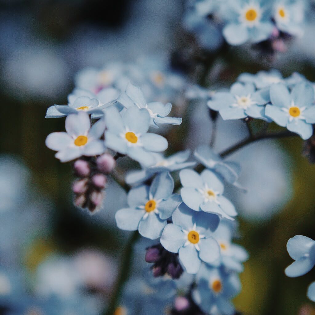 (Category: ) located in . Submitted by daintypetites (Listing ID 1257961406, Image 1). Description: .