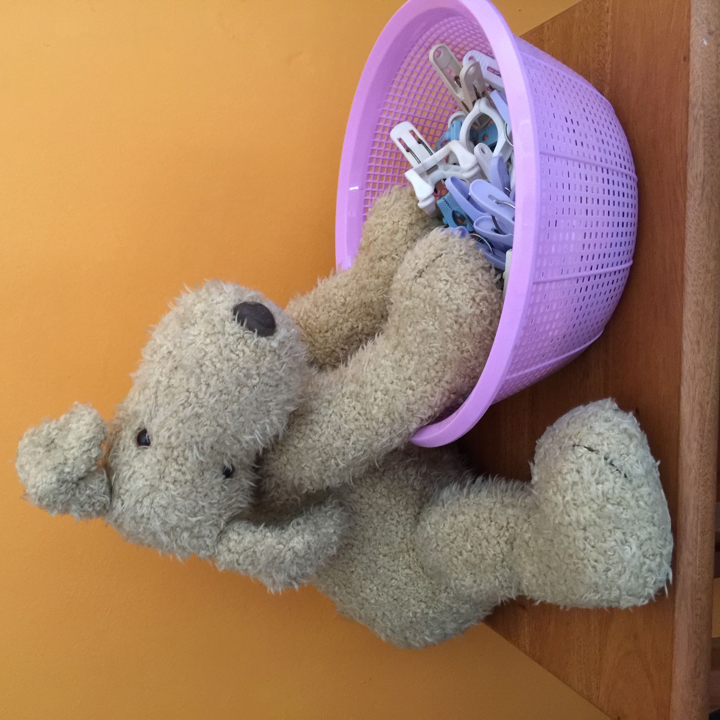 (Category: ) located in . Submitted by tinybear176 (Listing ID 1383793382, Image 1). Description: .