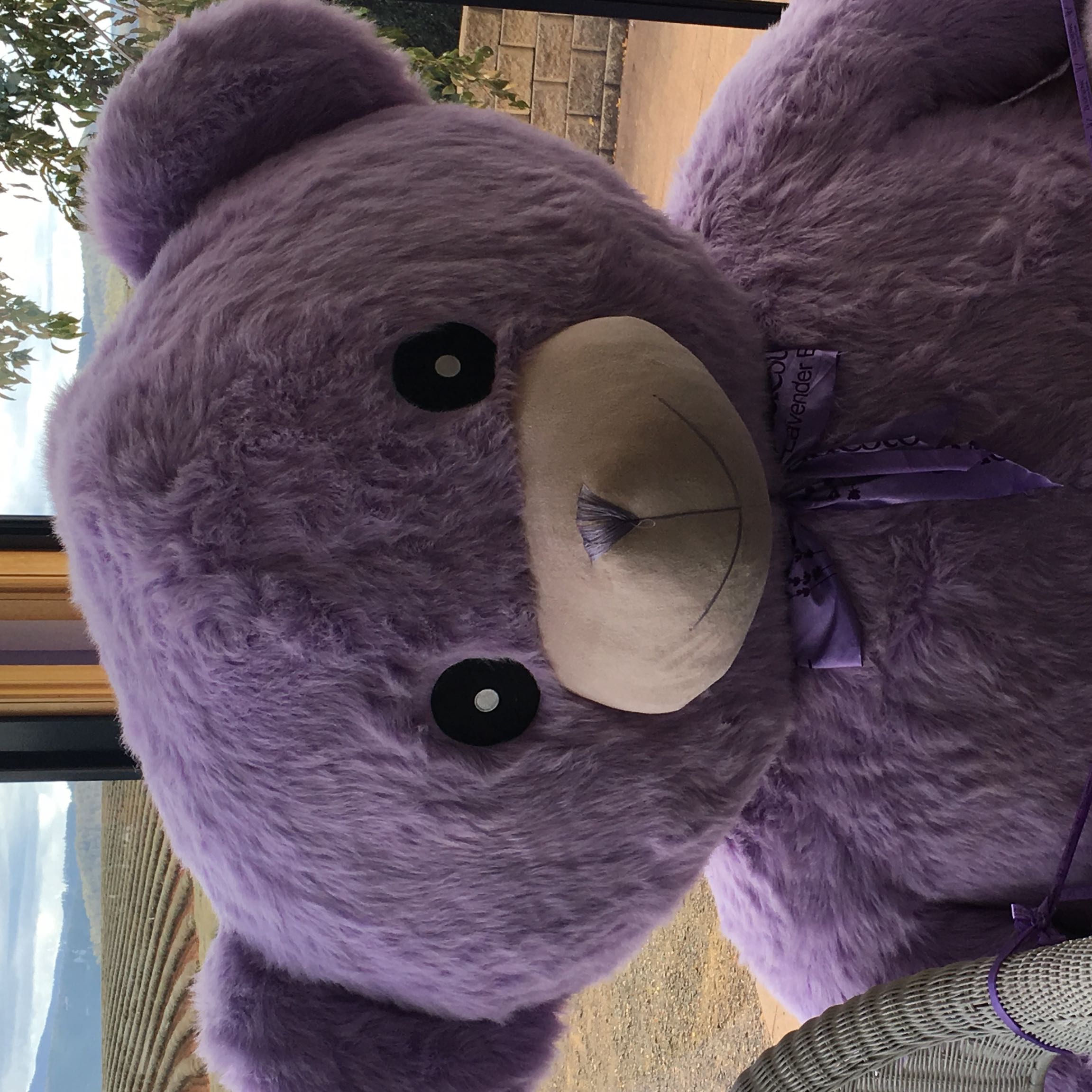 （分類：）位於 。 由 bea_gc 提交（商品編號 1364804488，圖片 1）。簡介： 。