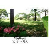 由 wa60812 (刊登 ID 1380010598，圖片 1) 提交，位於 的 (類別：)，說明：。