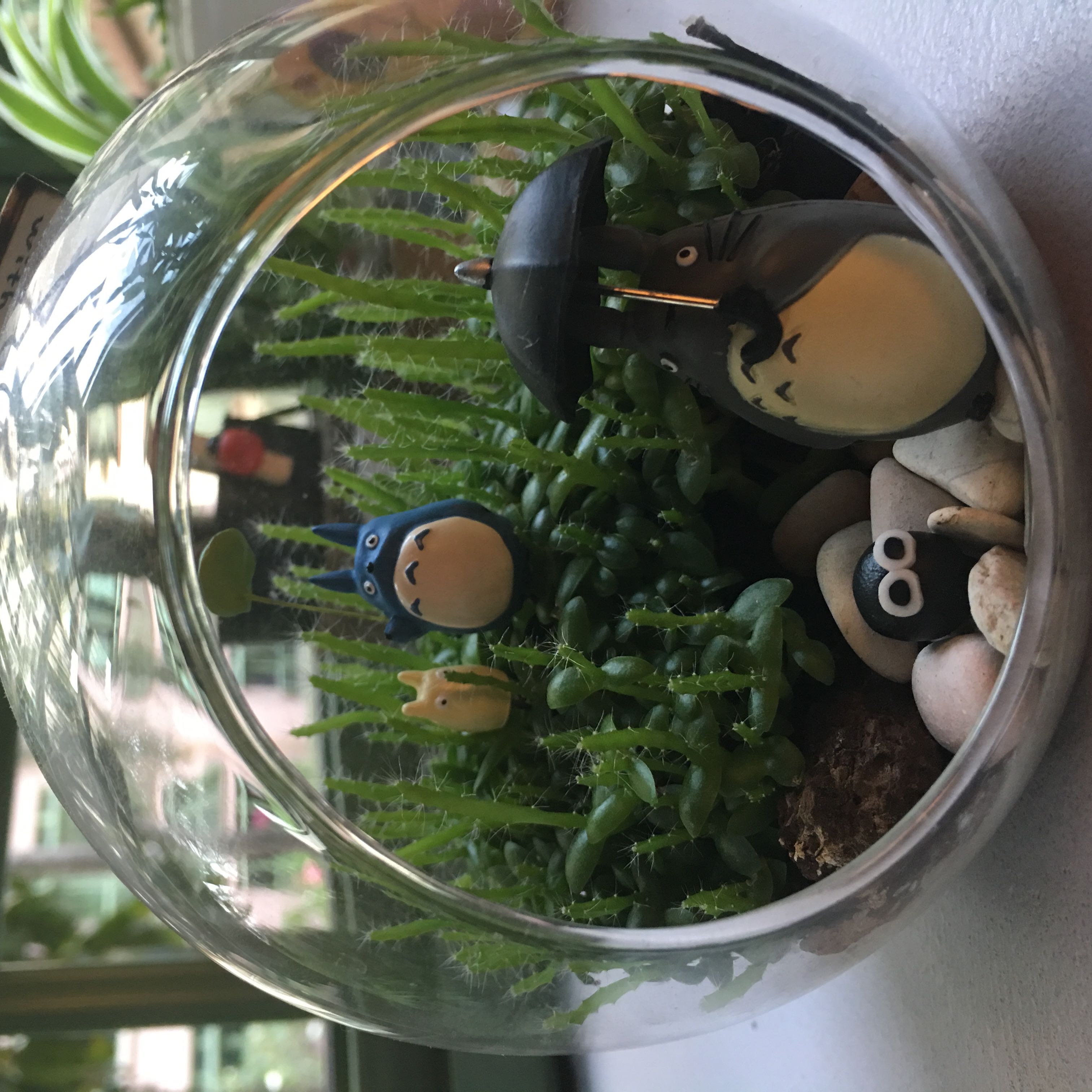 (Category: ) located in . Submitted by jleehong (Listing ID 1347952859, Image 1). Description: .