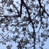 (Category: ) located in . Submitted by lettinggo. (Listing ID 1355423943, Image 1). Description: .