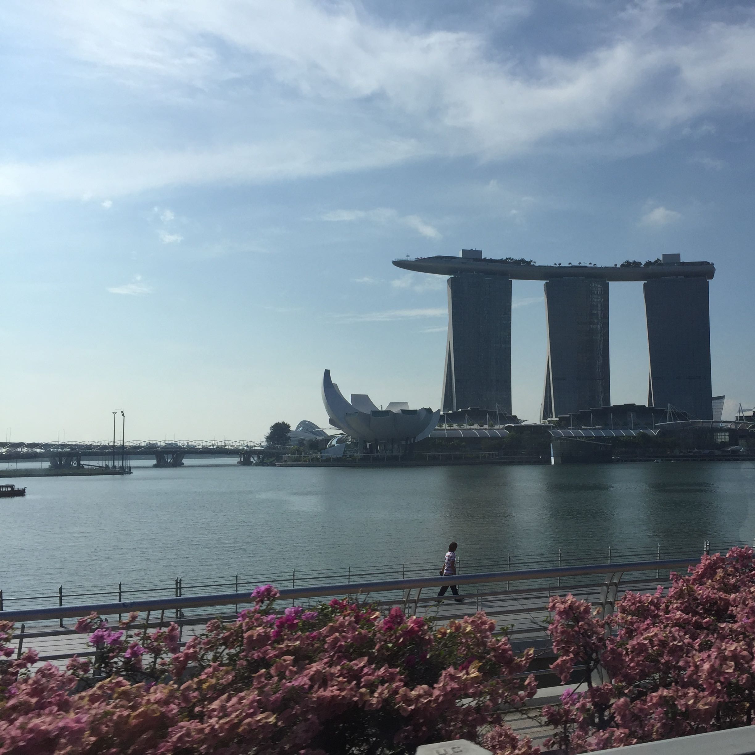 (Category: ) located in . Submitted by maximus_sg (Listing ID 1381559627, Image 1). Description: .