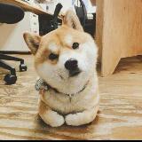 (Category: ) located in . Submitted by chloeyip (Listing ID 1376906548, Image 1). Description: .
