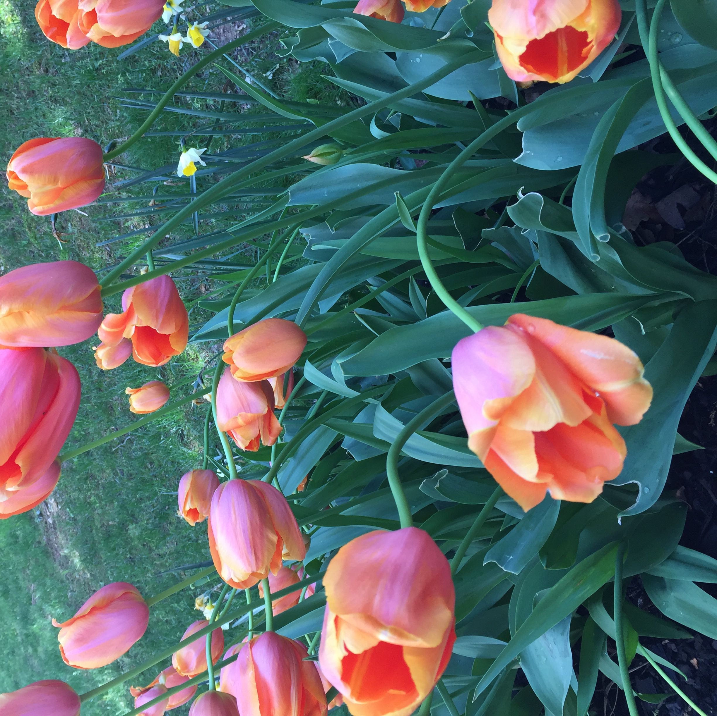 (Category: ) located in . Submitted by stephcwong (Listing ID 1375358072, Image 1). Description: .