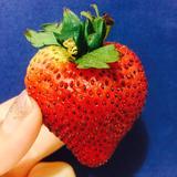 (Category: ) located in . Submitted by krisxu (Listing ID 1378795631, Image 1). Description: .