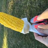 (Category: ) located in . Submitted by bulbmaomao (Listing ID 1442479203, Image 1). Description: .
