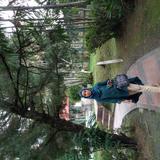 (Category: ) located in . Submitted by intannurhani (Listing ID 1453253910, Image 1). Description: .