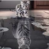 （分類：）位於 。 由 meowcatmeow9711 提交（商品編號 1385725169，圖片 1）。簡介： 。