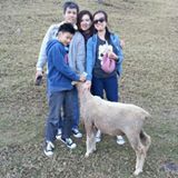 (Category: ) located in . Submitted by pyppp (Listing ID 1455273441, Image 1). Description: .