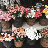 (Category: ) located in . Submitted by flamingos (Listing ID 1341507967, Image 1). Description: .