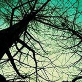 (分類:)位於 。 由 aeons 提交(商品編號 1469361103,圖片 1)。簡介: 。