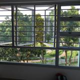 (Category: ) located in . Submitted by zingling (Listing ID 1384828500, Image 1). Description: .