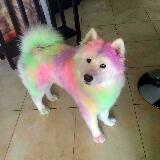 (Category: ) located in . Submitted by yourbestfriend (Listing ID 1369319832, Image 1). Description: .